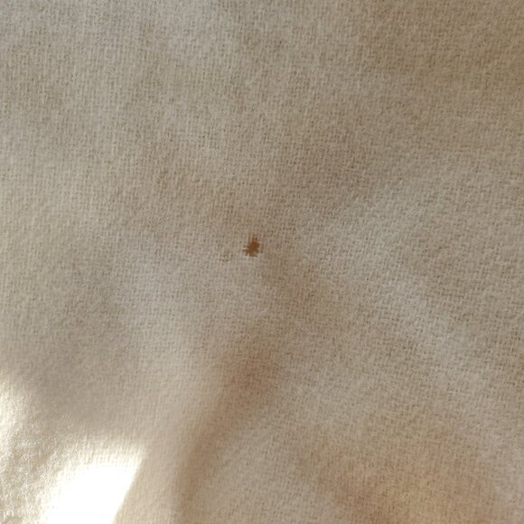 VTG Radcliffe Sag Harbor Wool Suit Set Women's 12/16 Blazer Pencil Skirt White - Picture 16 of 16